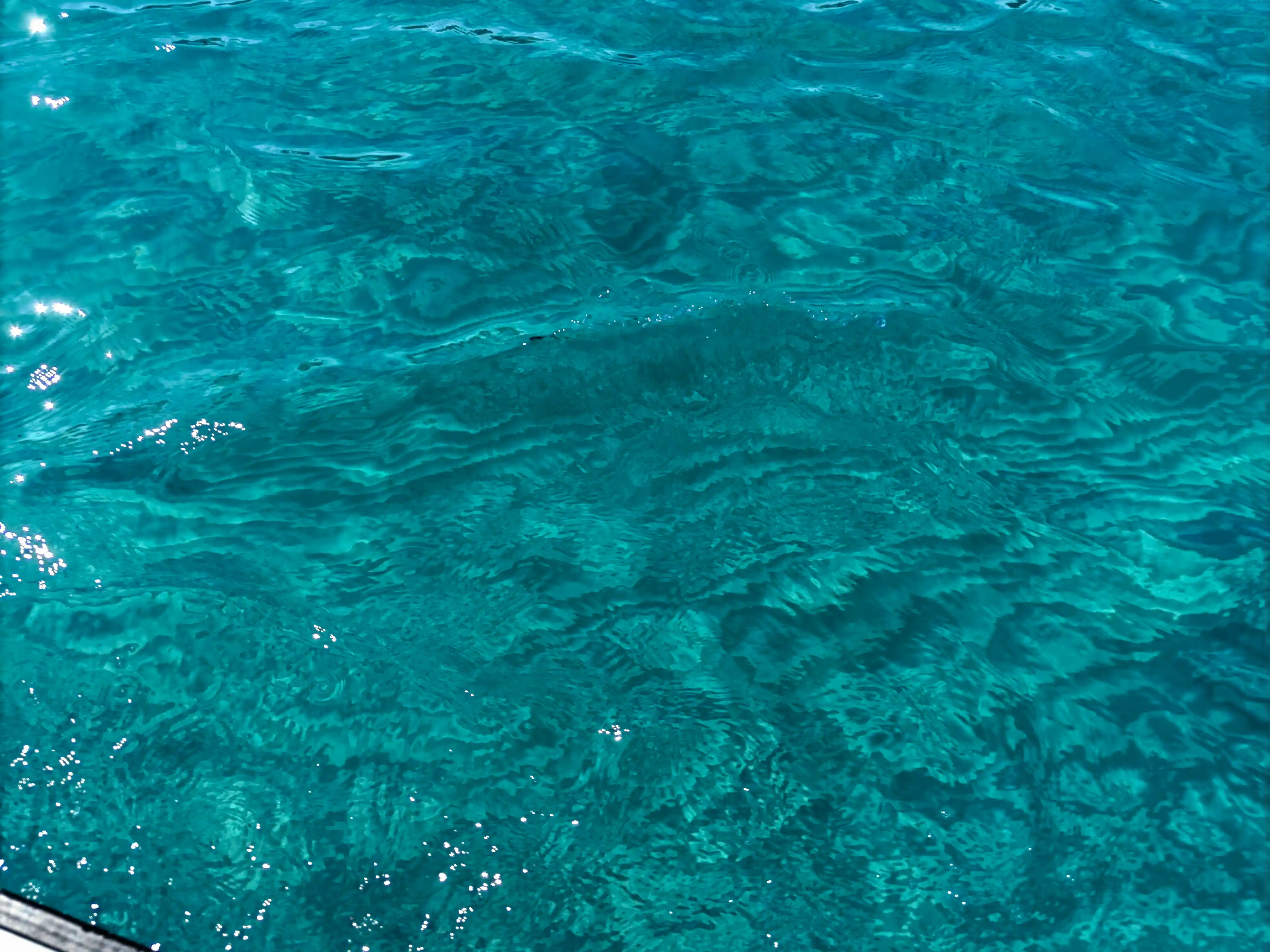 Abstract water texture
